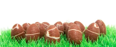Plusieurs chasses aux oeufs organisées par le secours populaire...